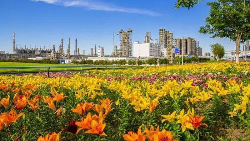 精细化工原料代理加盟，如何把握关键点？**