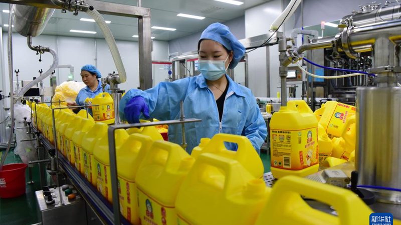 催化剂与助剂：化工生产的“隐形推手”**
