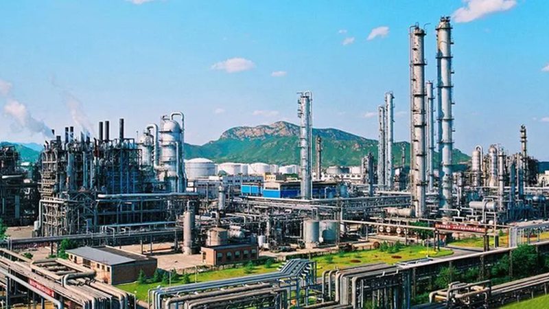 上海新材料与传统材料：性能与合规的差异化解析